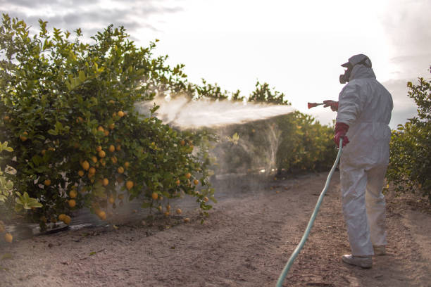 Best Mosquito Control Services  in Hugo, OK