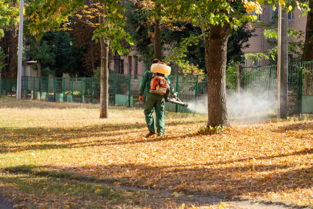  Hugo, OK Pest Control Pros