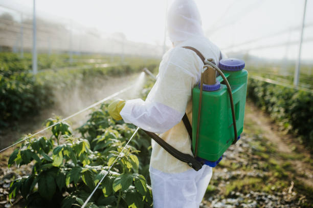 Best Pest Inspection Near Me  in Hugo, OK